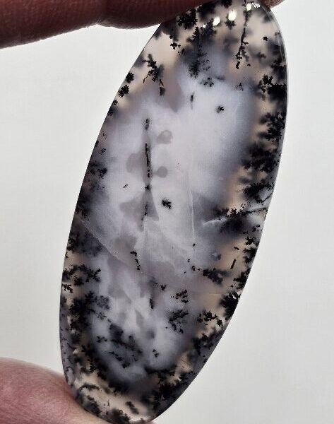 56x23mm Dendritic chalcedony cabochon