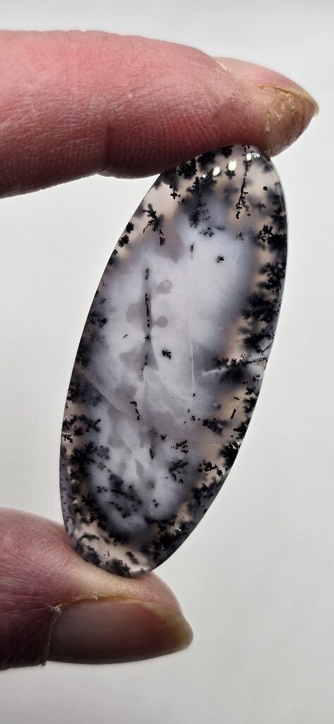 56x23mm Dendritic chalcedony cabochon