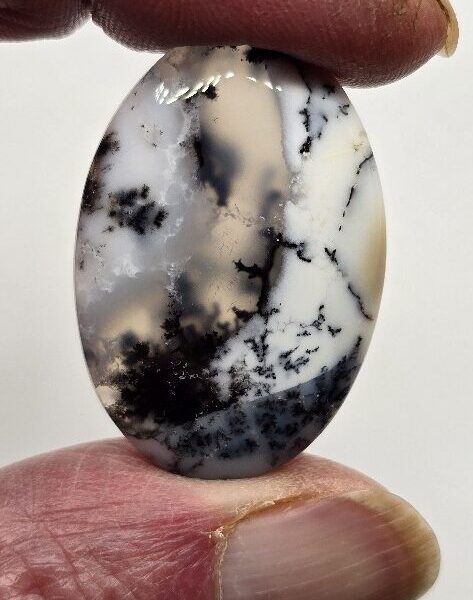 36x24mm Dendritic chalcedony cabochon