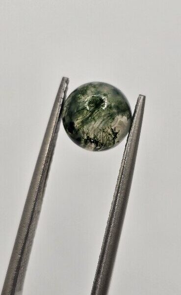 7mm round moss agate cabochon, high quality
