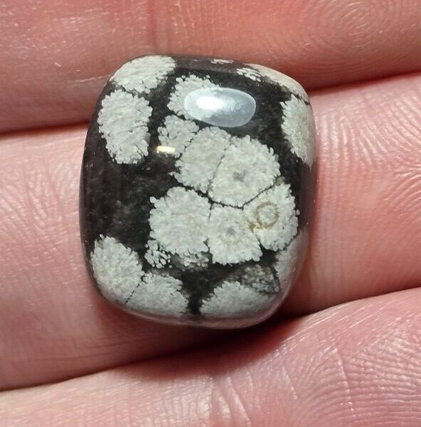 19x16mm snowflake obsidian cabochon