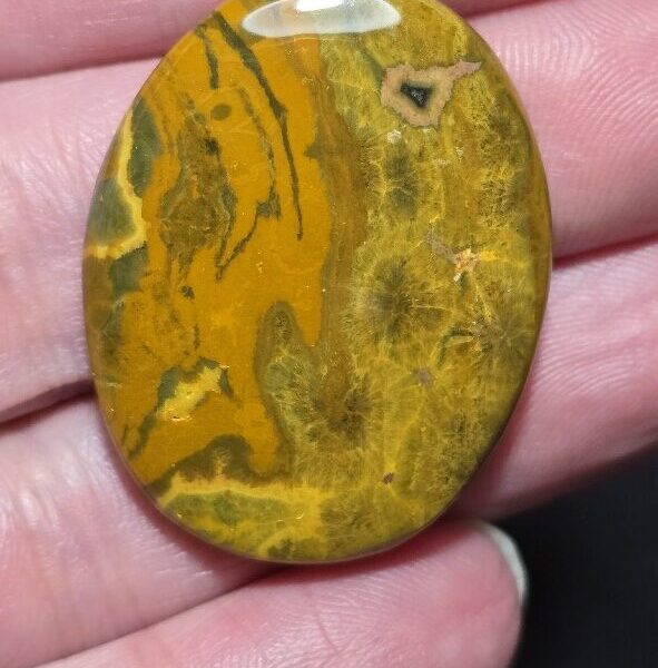 37x29mm Ocean jasper cabochon