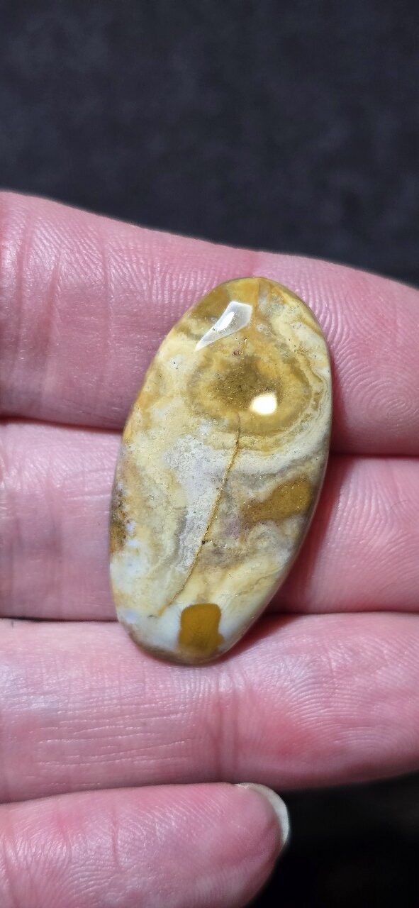 37x19mm Ocean jasper cabochon