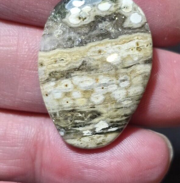 33x23mm Ocean jasper cabochon