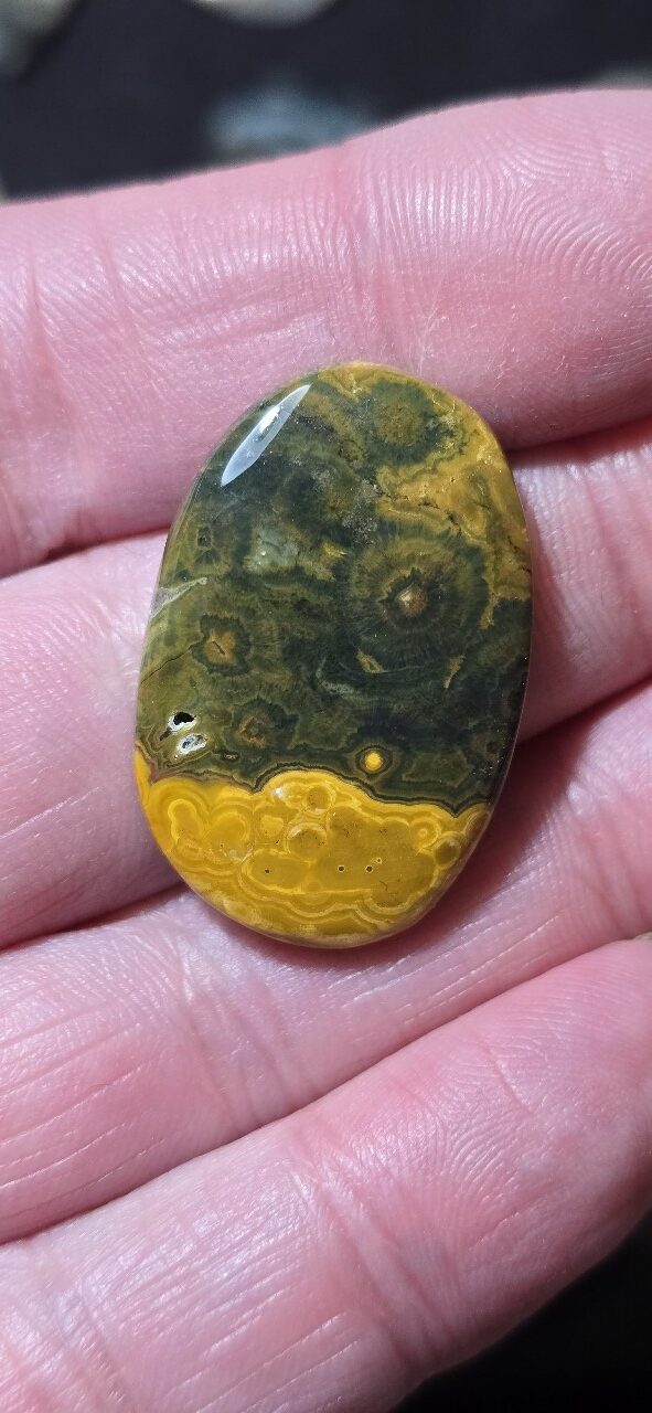 33x21mm Ocean jasper cabochon