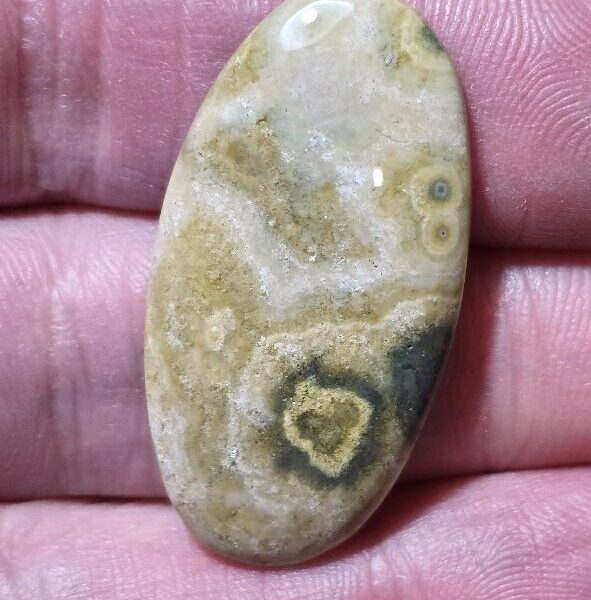 37x20mm Ocean jasper cabochon