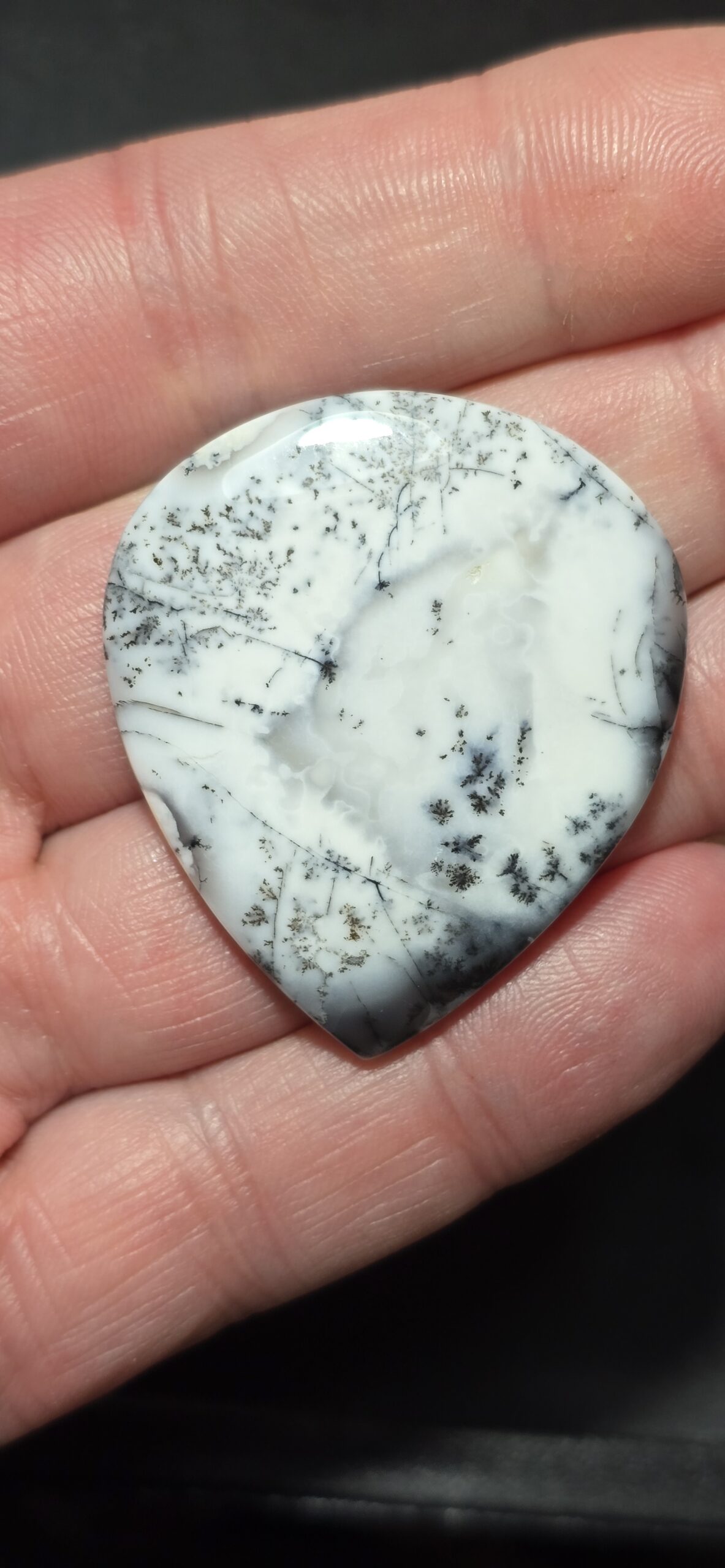 43x38mm Dendritic chalcedony cabochon