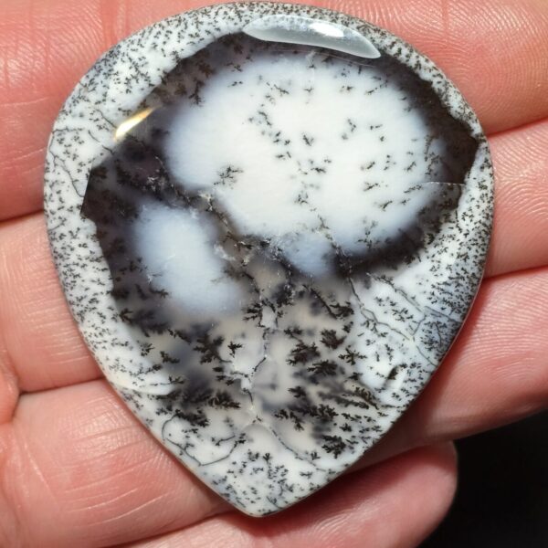 57x49mm Dendritic chalcedony cabochon