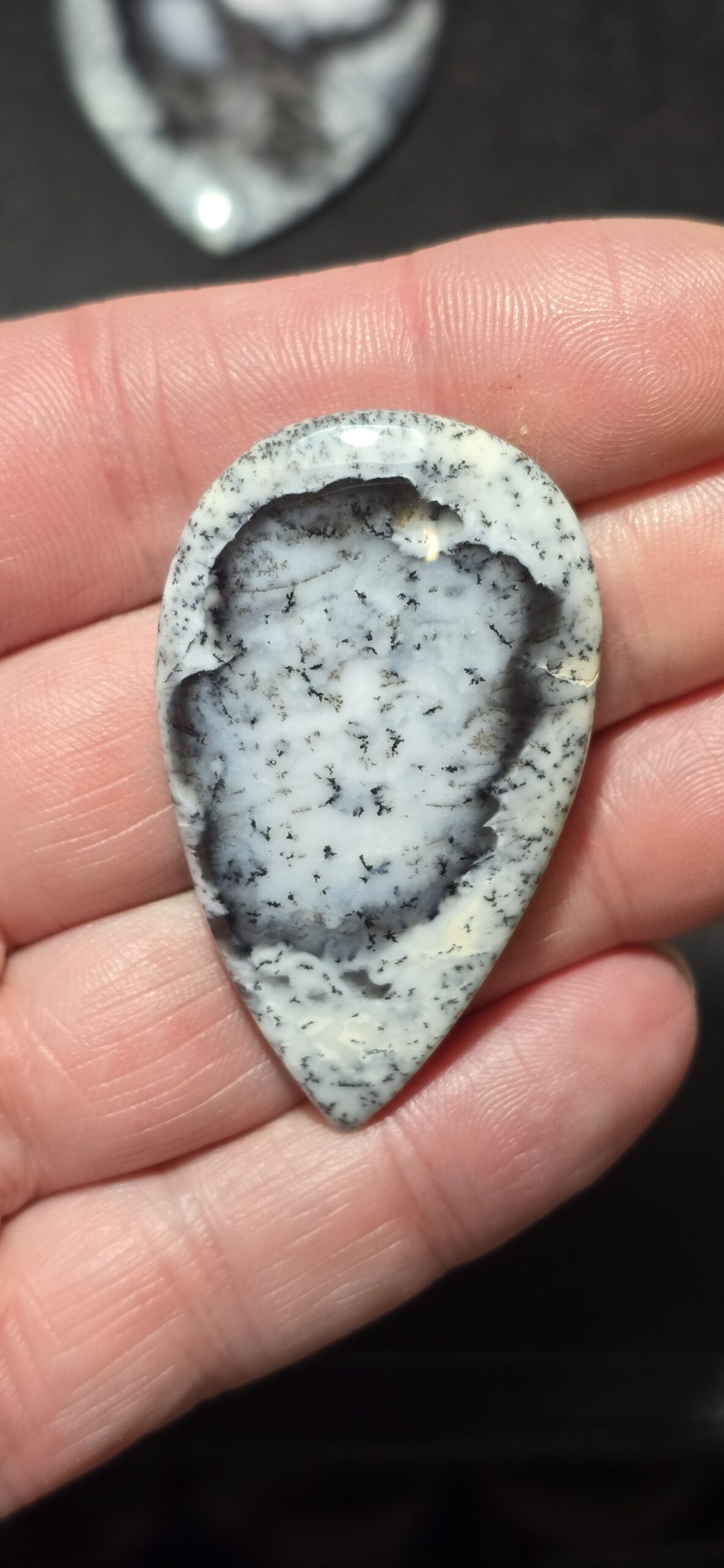 51x31mm Dendritic chalcedony cabochon