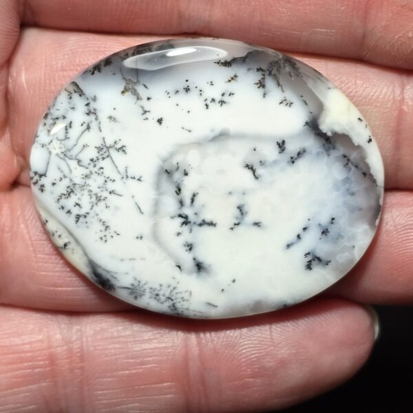 45x37mm Dendritic chalcedony cabochon