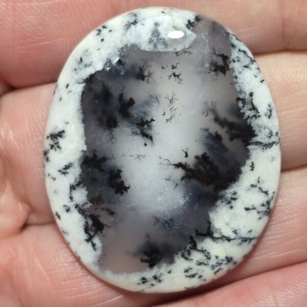 41x34mm Dendritic chalcedony cabochon