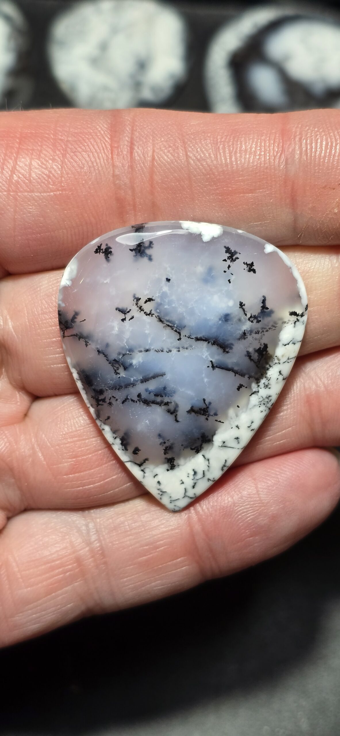 45x36mm Dendritic chalcedony cabochon