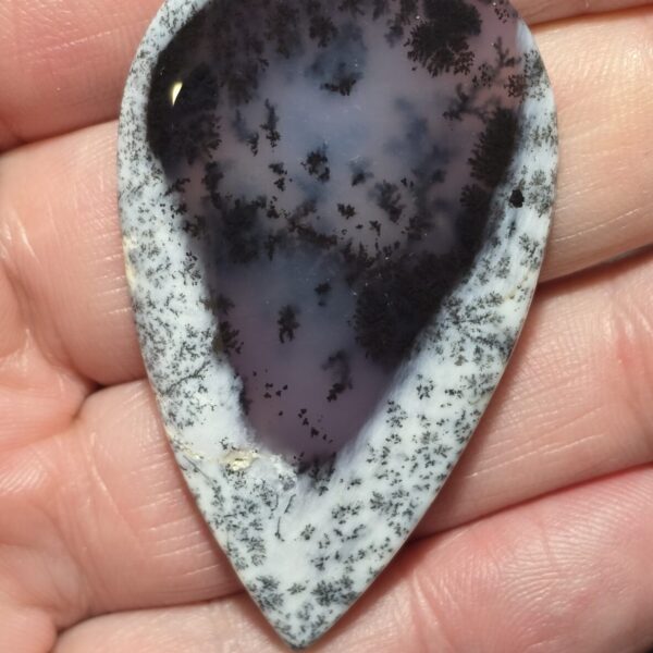 55x32mm Dendritic chalcedony cabochon