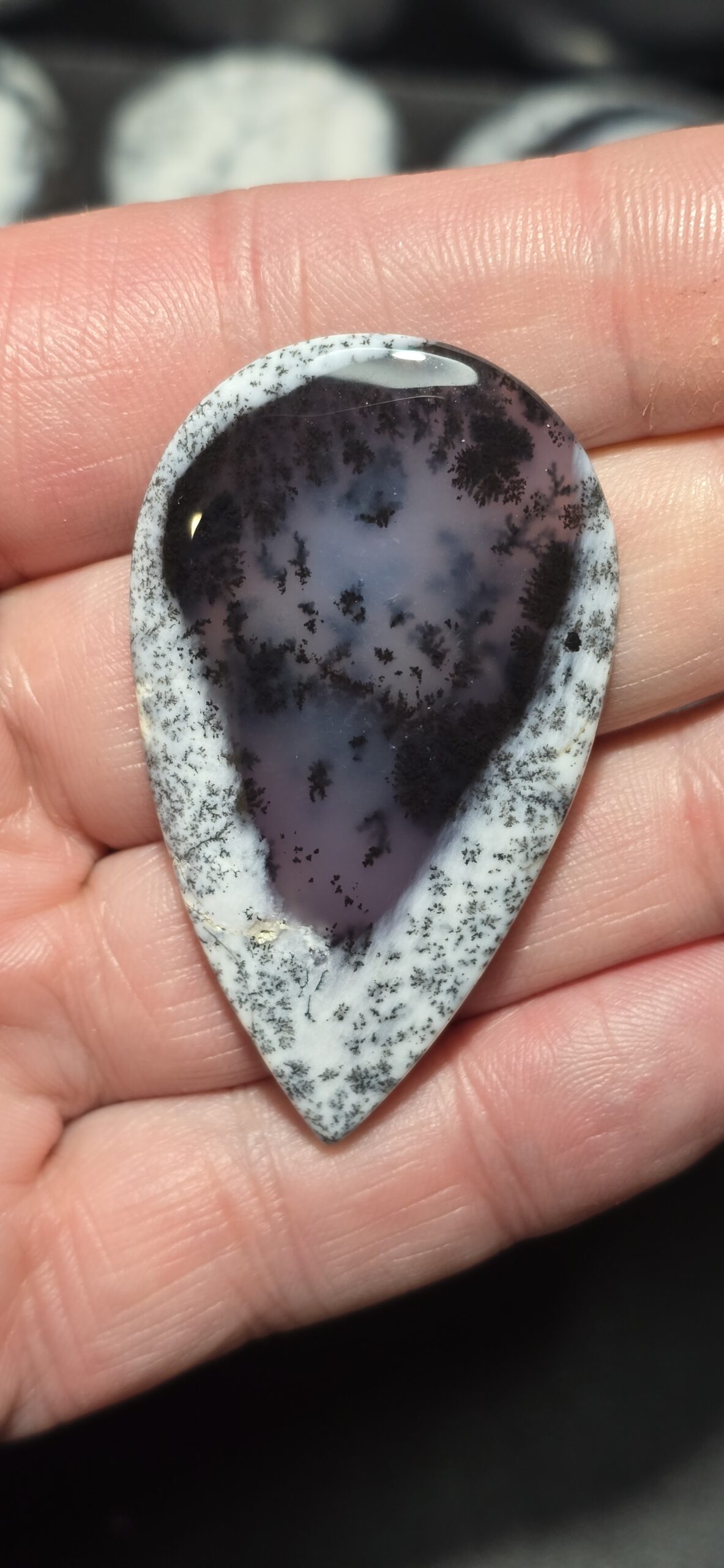 55x32mm Dendritic chalcedony cabochon