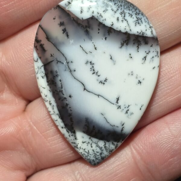 43x31mm Dendritic chalcedony cabochon