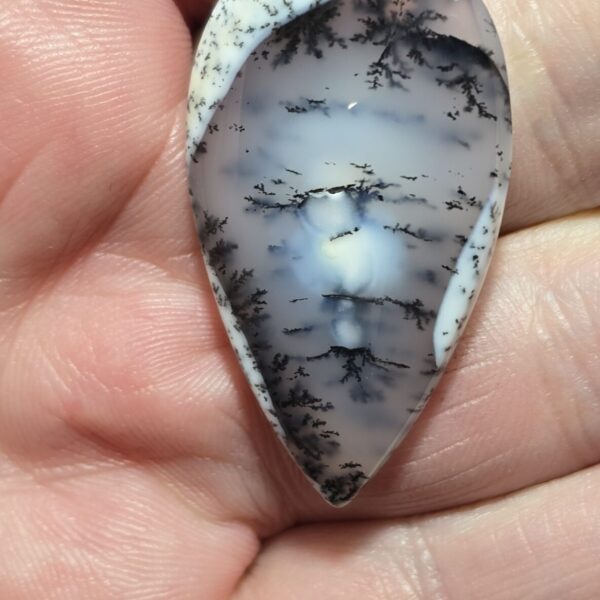 38x22mm Dendritic chalcedony cabochon