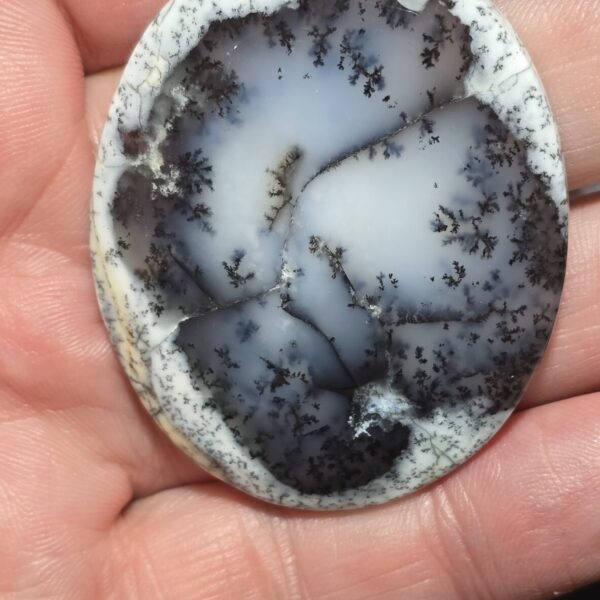 51x41mm Dendritic chalcedony cabochon