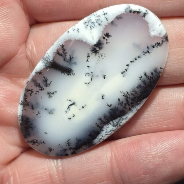 50x29mm Dendritic chalcedony cabochon