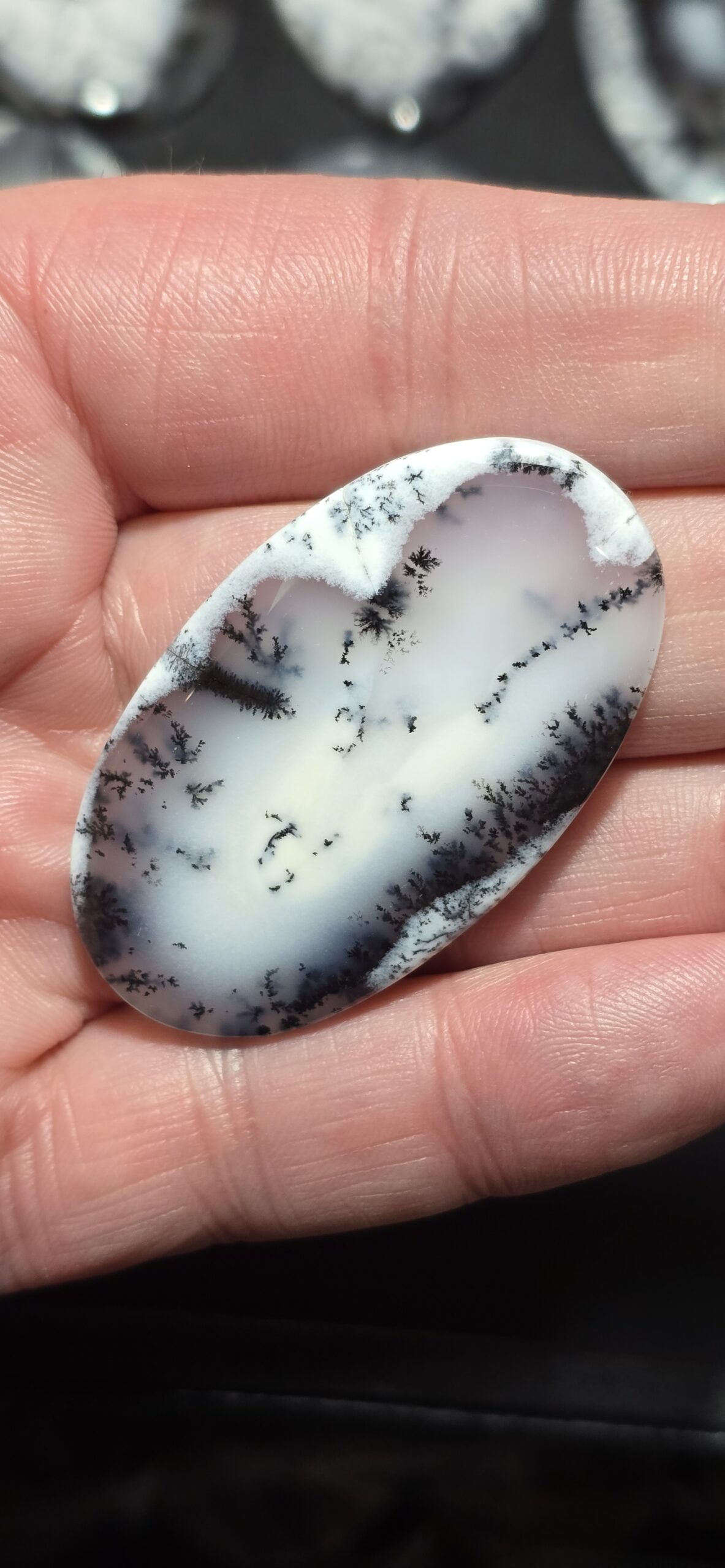 50x29mm Dendritic chalcedony cabochon