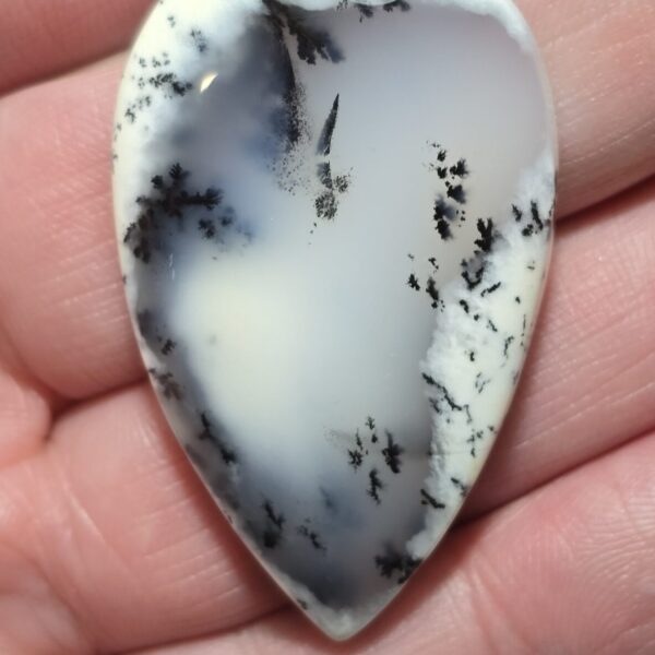 45x27mm Dendritic chalcedony cabochon