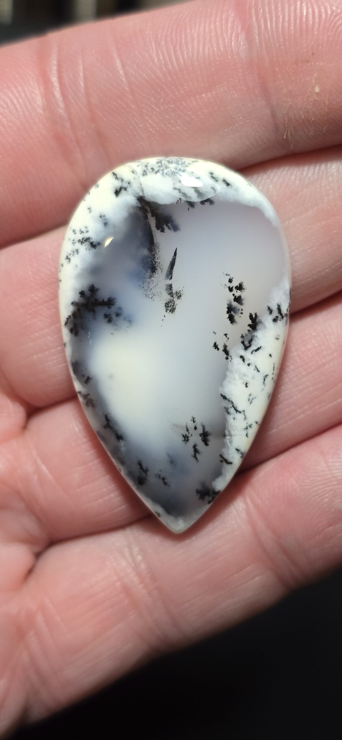 45x27mm Dendritic chalcedony cabochon