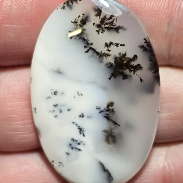 46x29mm Dendritic chalcedony cabochon