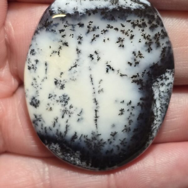 44x34mm Dendritic chalcedony cabochon