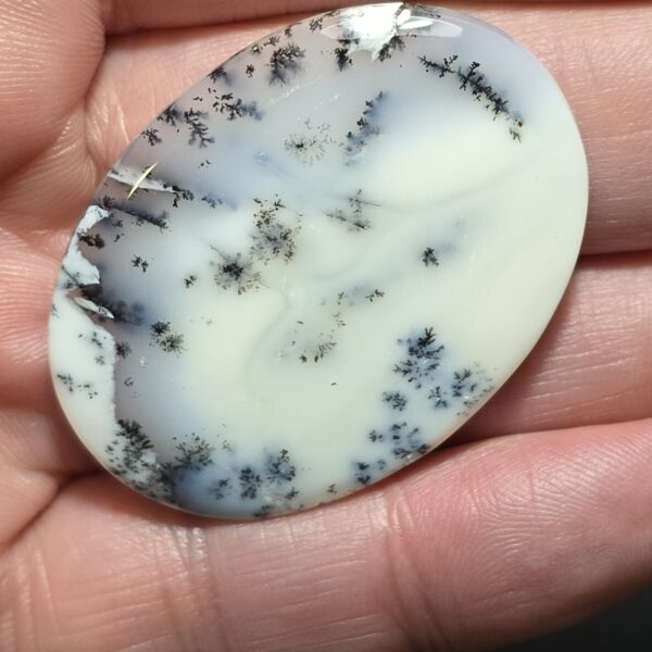 45x33mm Dendritic chalcedony cabochon