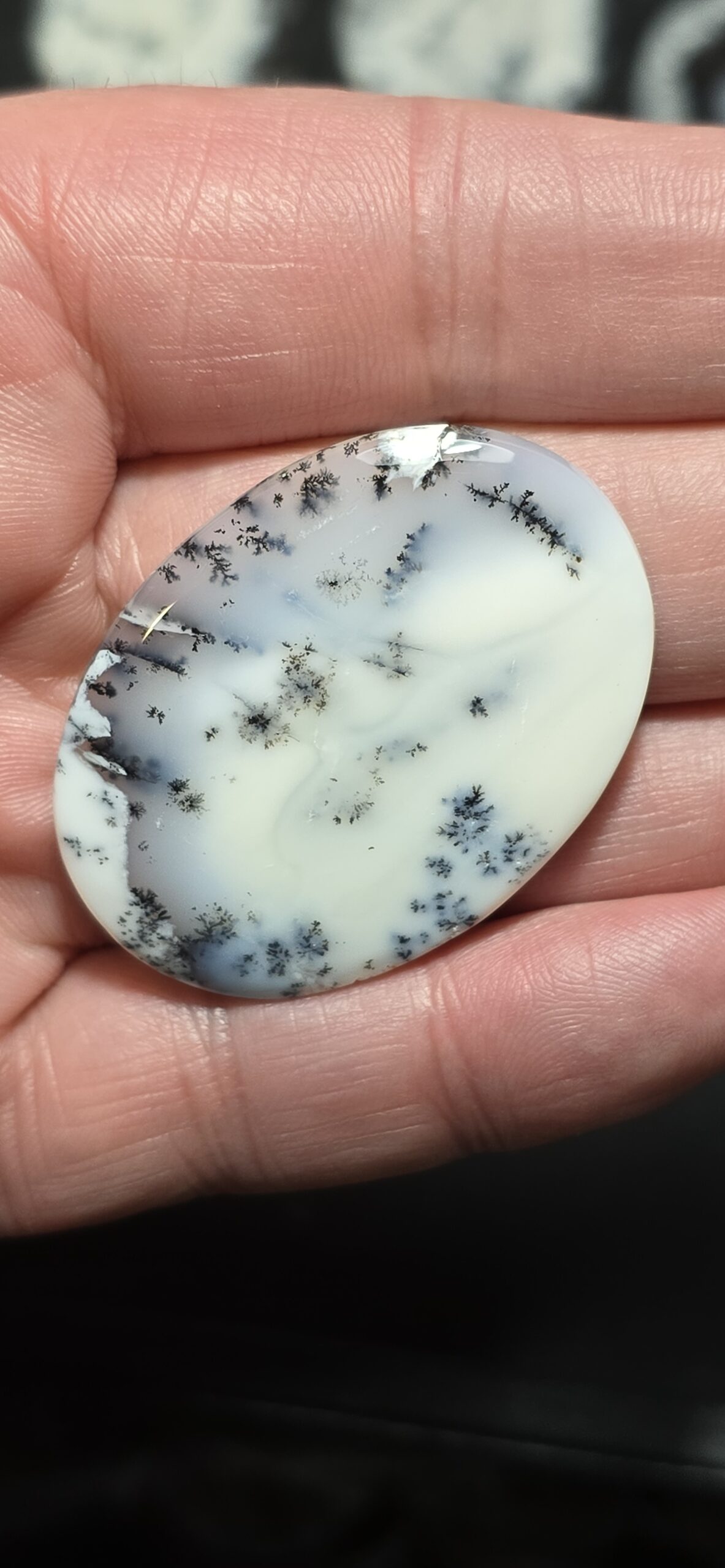 45x33mm Dendritic chalcedony cabochon