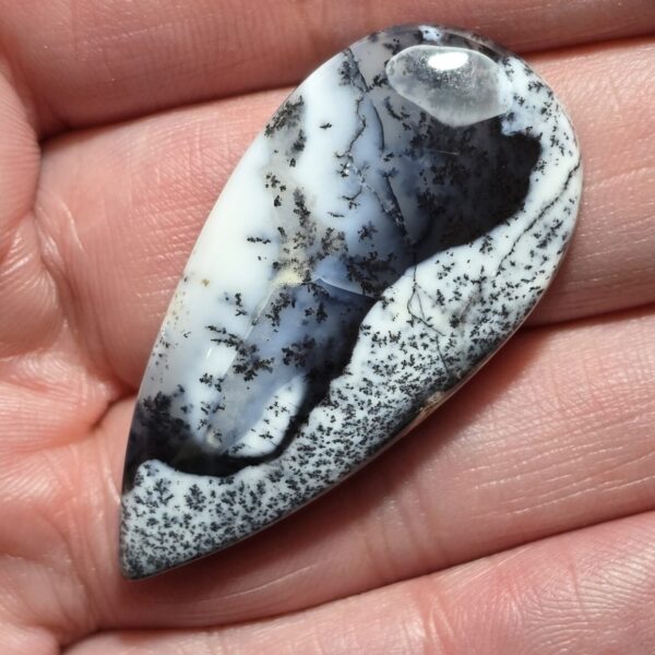 46x22mm Dendritic chalcedony cabochon