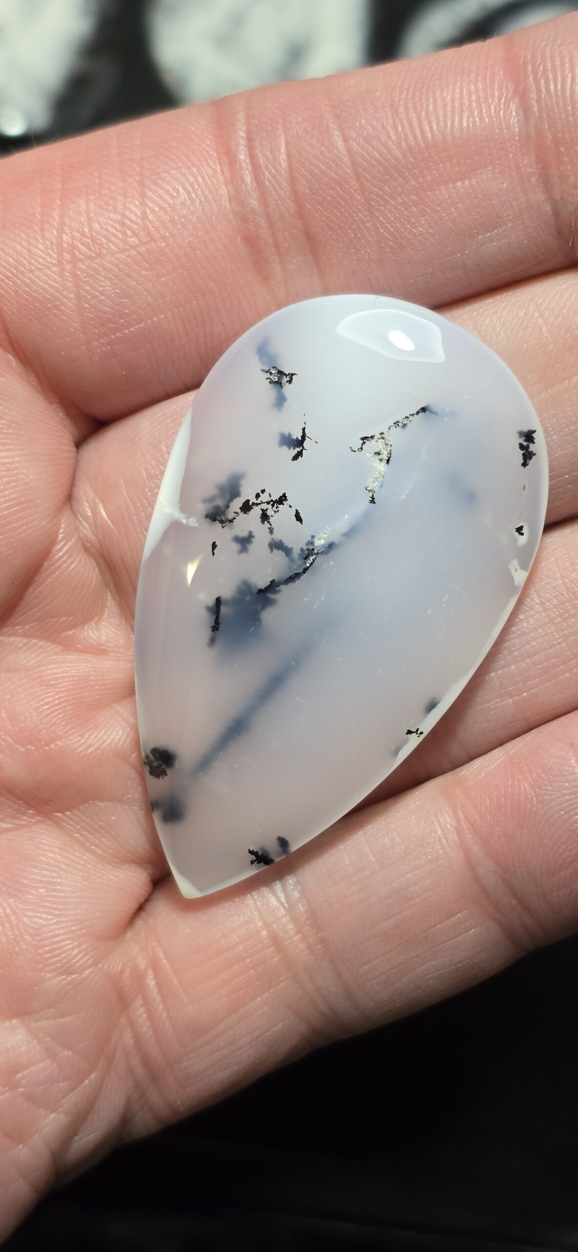 52x30mm Dendritic chalcedony cabochon