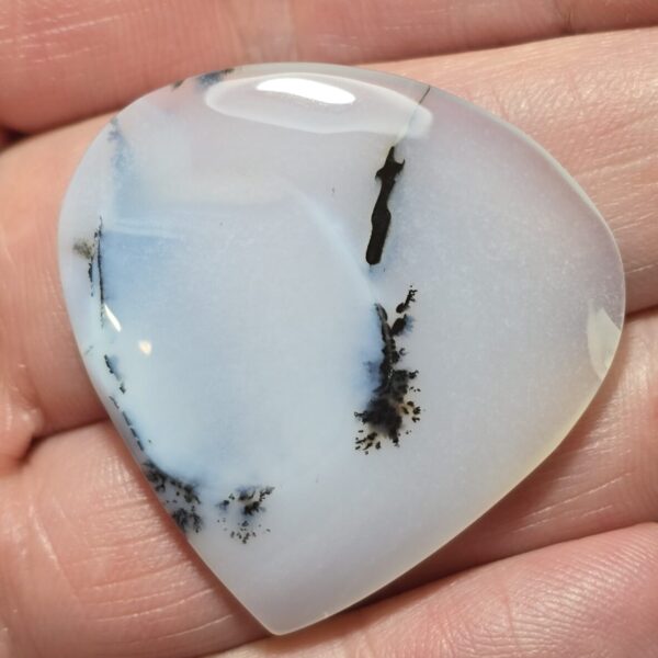 38x37mm Dendritic chalcedony cabochon