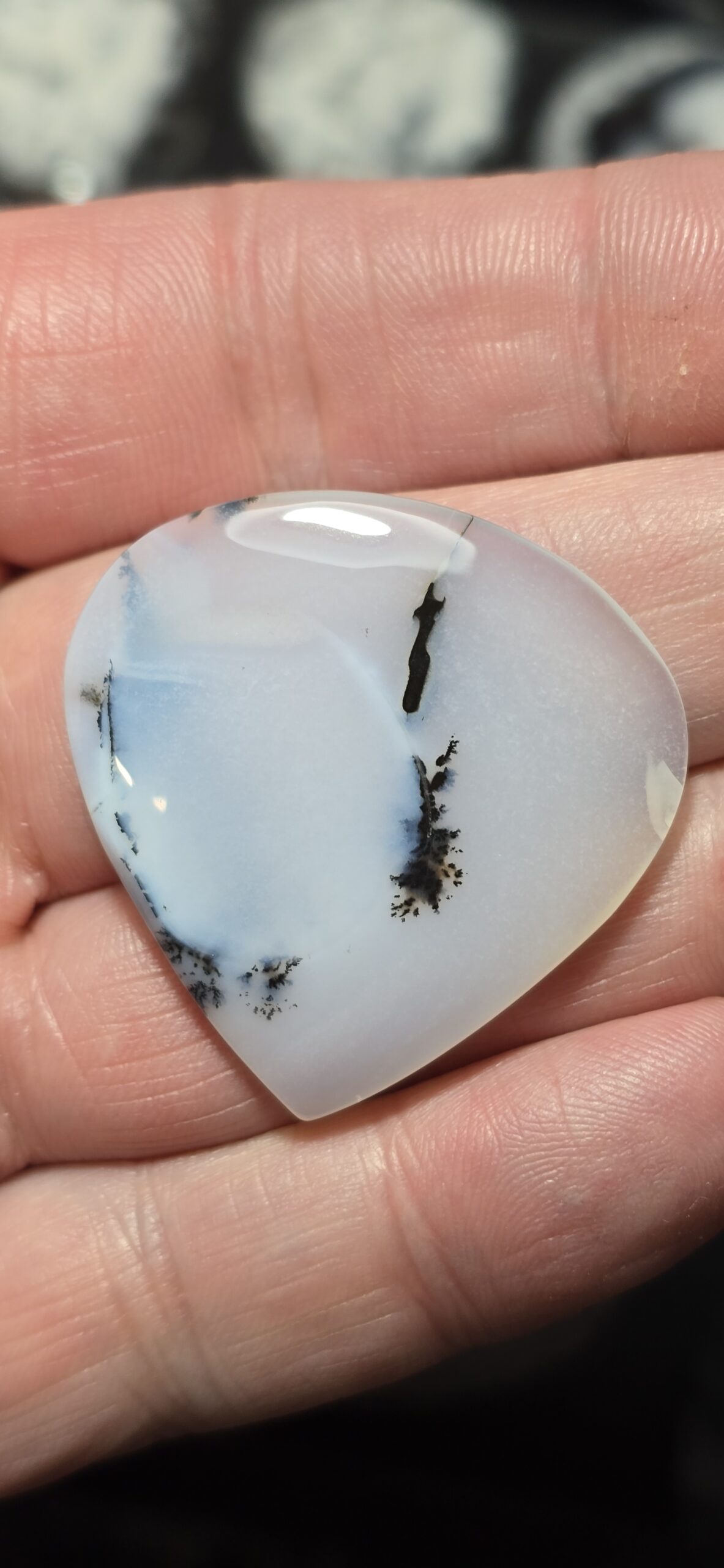 38x37mm Dendritic chalcedony cabochon