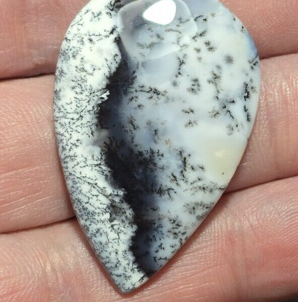 41x27mm Dendritic chalcedony cabochon