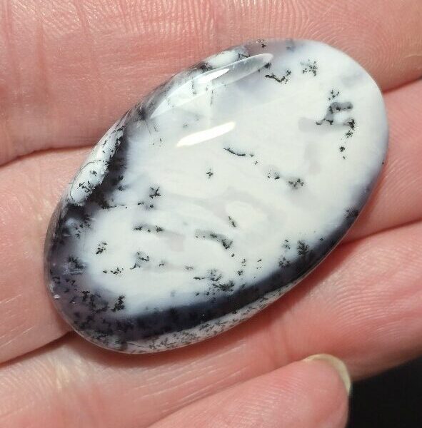 42x27mm Dendritic chalcedony cabochon