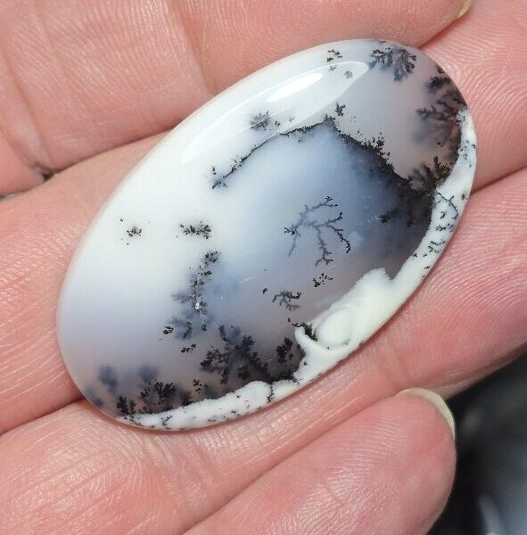 46x28mm Dendritic chalcedony cabochon