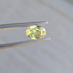 Your precious gems 6.58x4.69x3.38mm oval Australian sapphire facet
