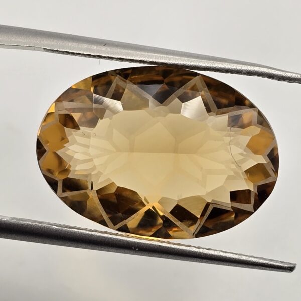 18.47x13.02x7.18mm fancy cut citrine facet (copy)