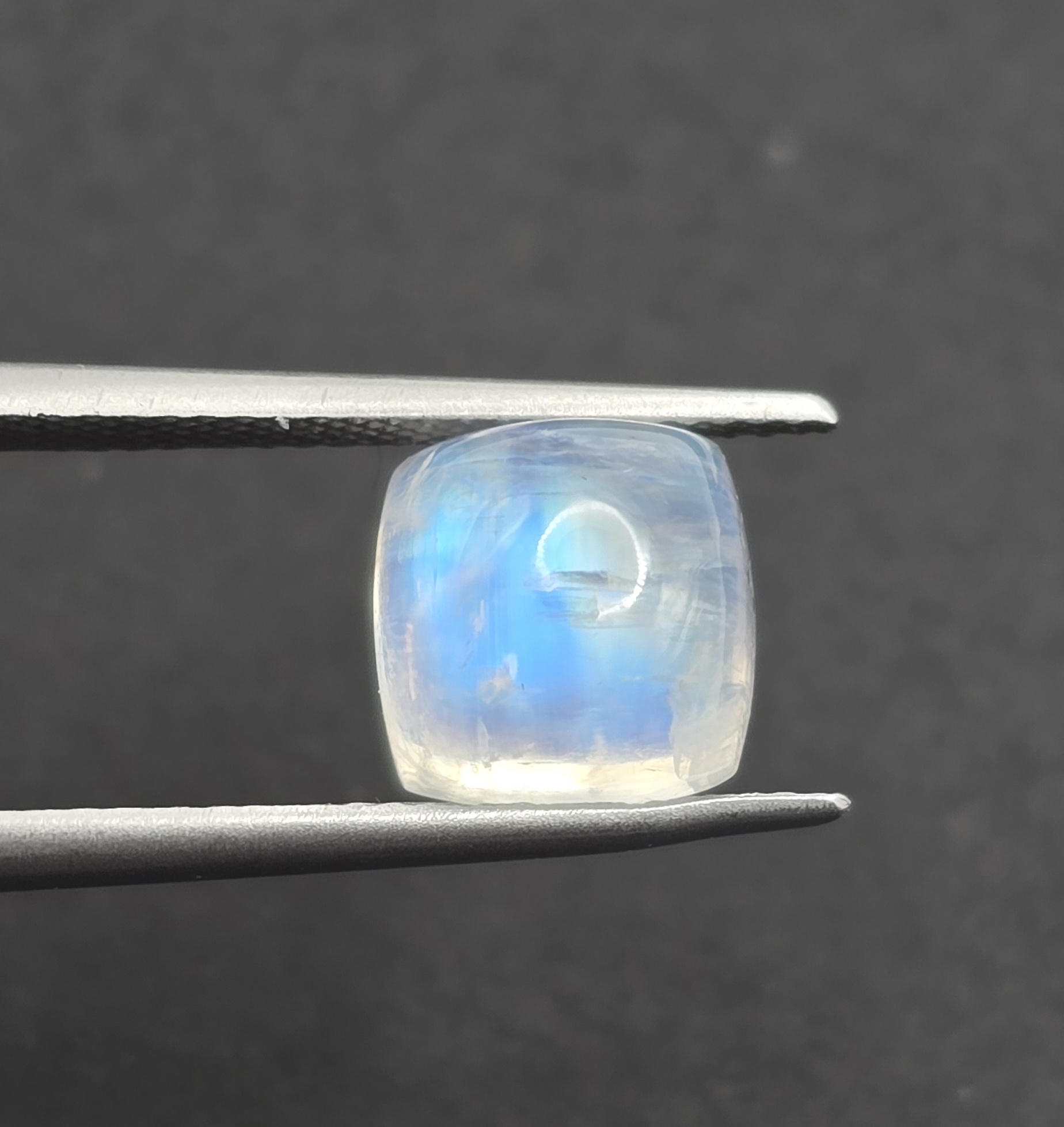 8.1x8.1x5.9mm cushion gem-grade rainbow moonstone cabochon
