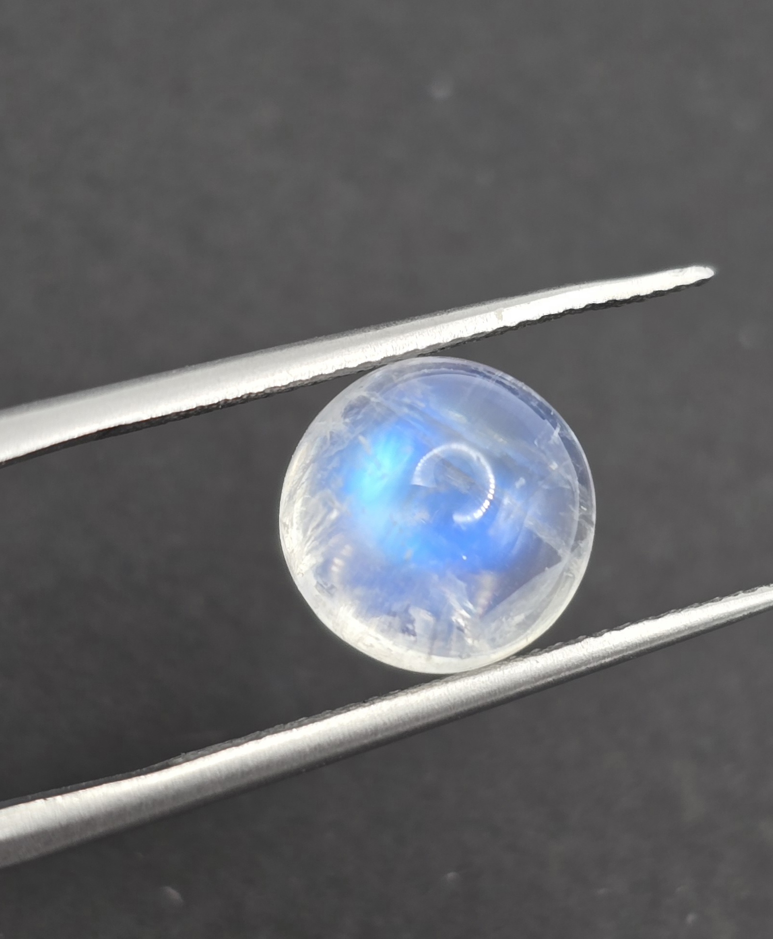 10.2mm round gem-grade rainbow moonstone cabochon