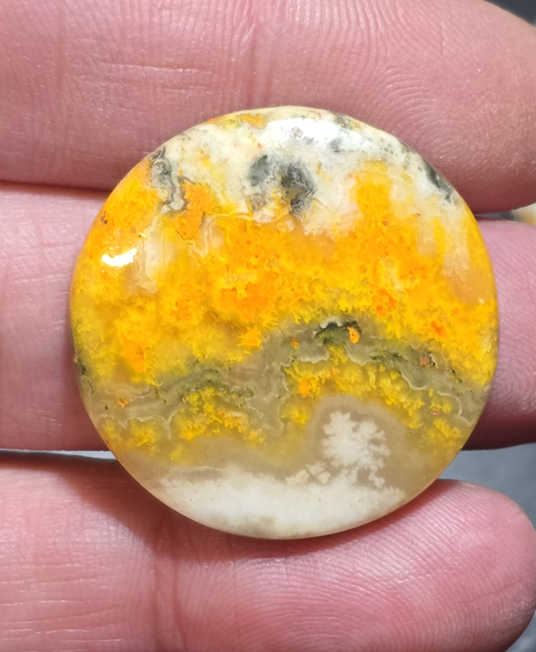 31mm round bumblebee jasper cabochon