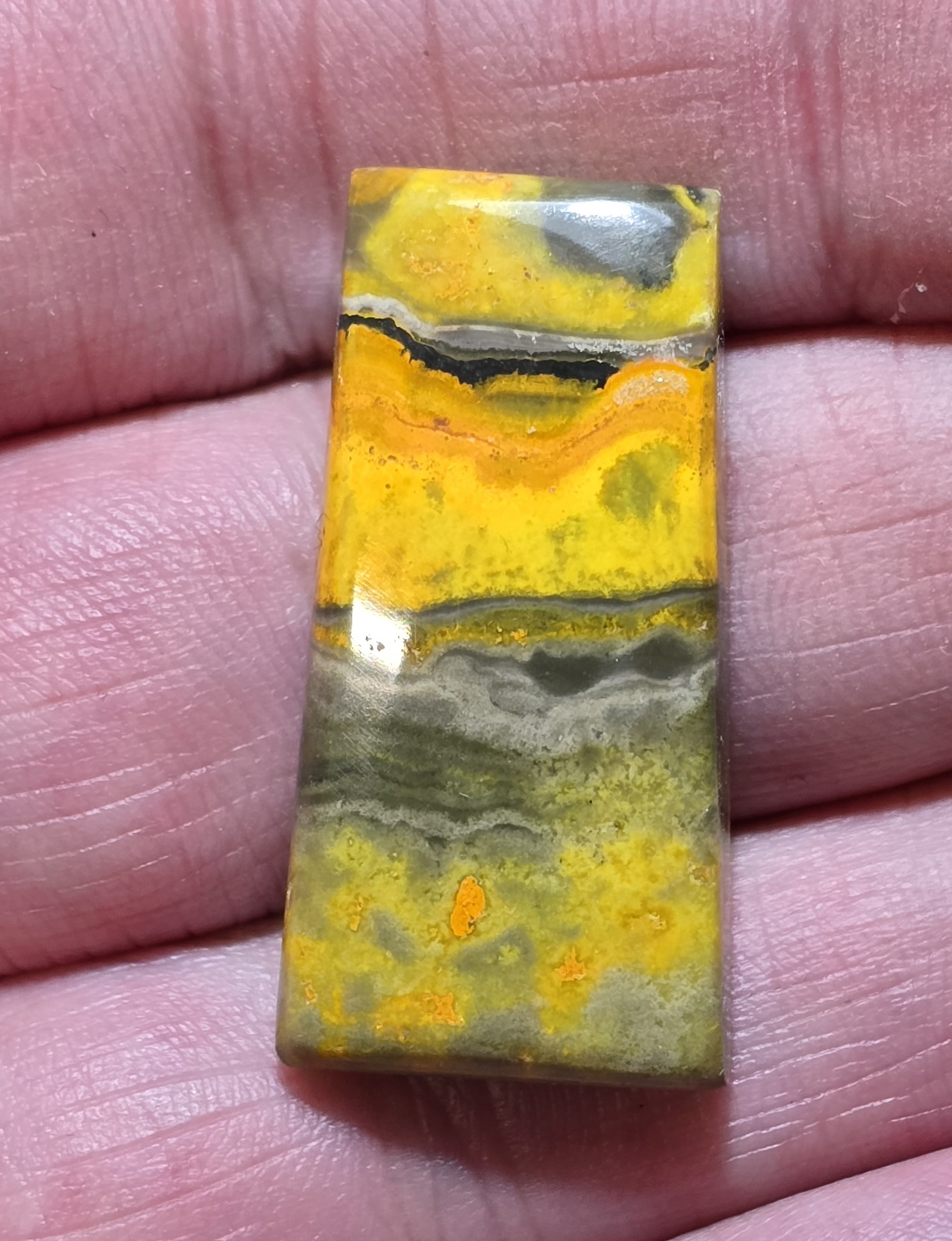 34x17mm bumblebee jasper cabochon