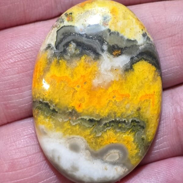 40x28mm bumblebee jasper cabochon