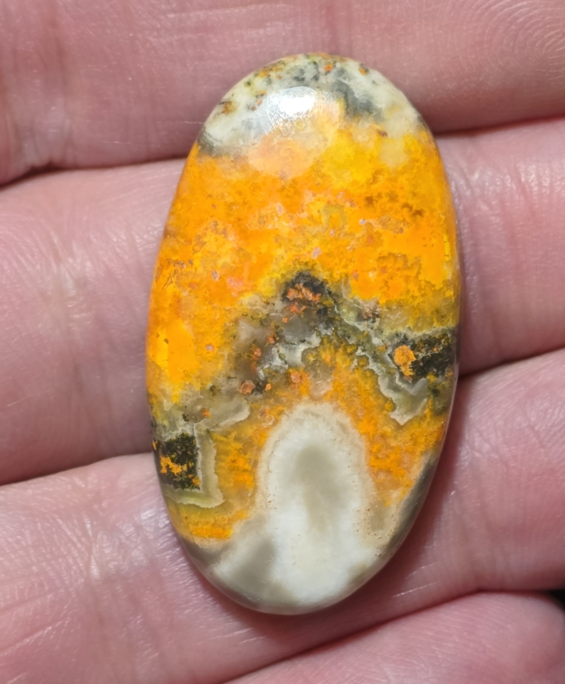 37x21mm bumblebee jasper cabochon