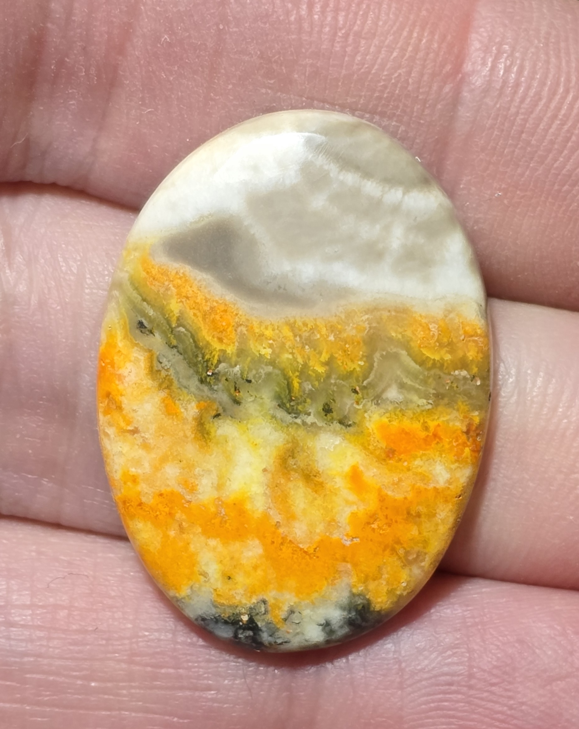31x22mm bumblebee jasper cabochon