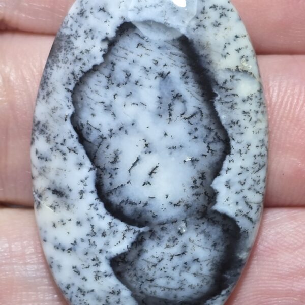 43x26mm Dendritic chalcedony cabochon
