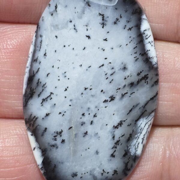 46x28mm Dendritic chalcedony cabochon