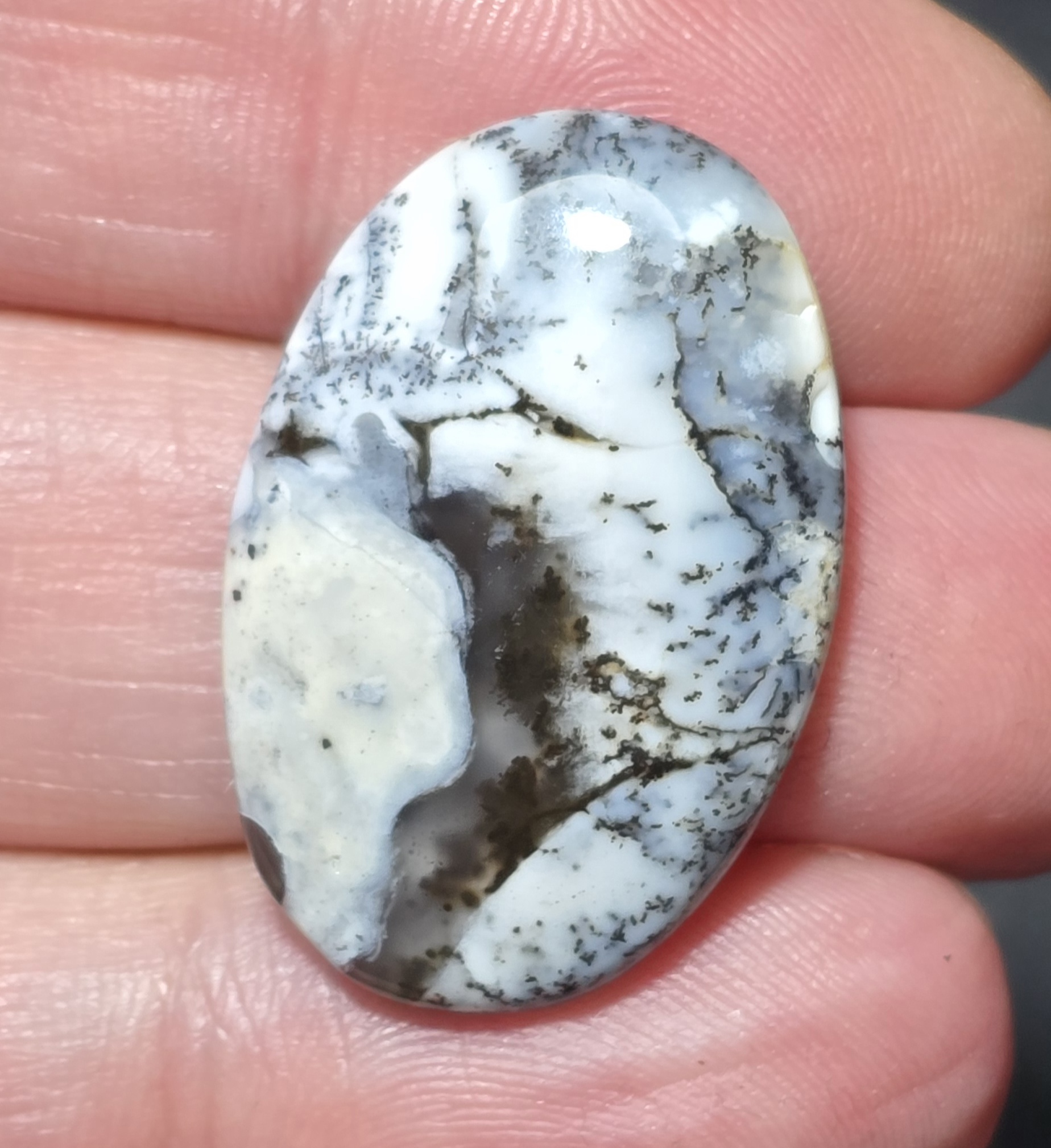 31x21mm Dendritic chalcedony cabochon