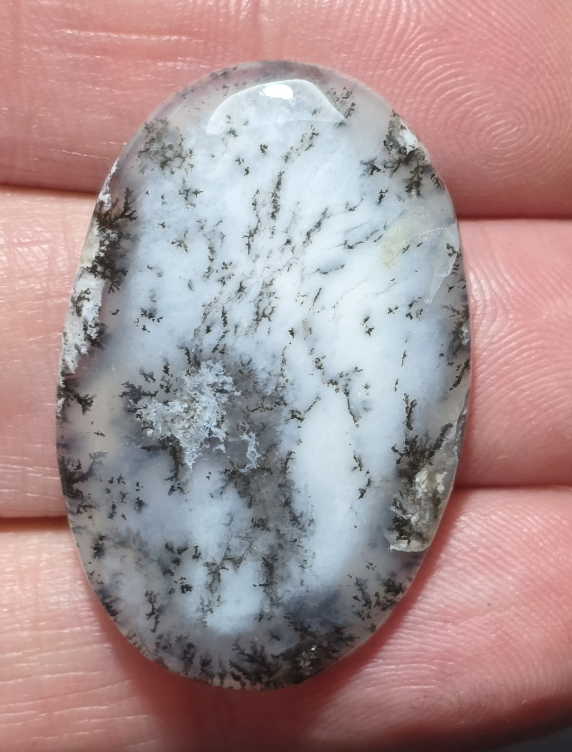 37x24mm Dendritic chalcedony cabochon