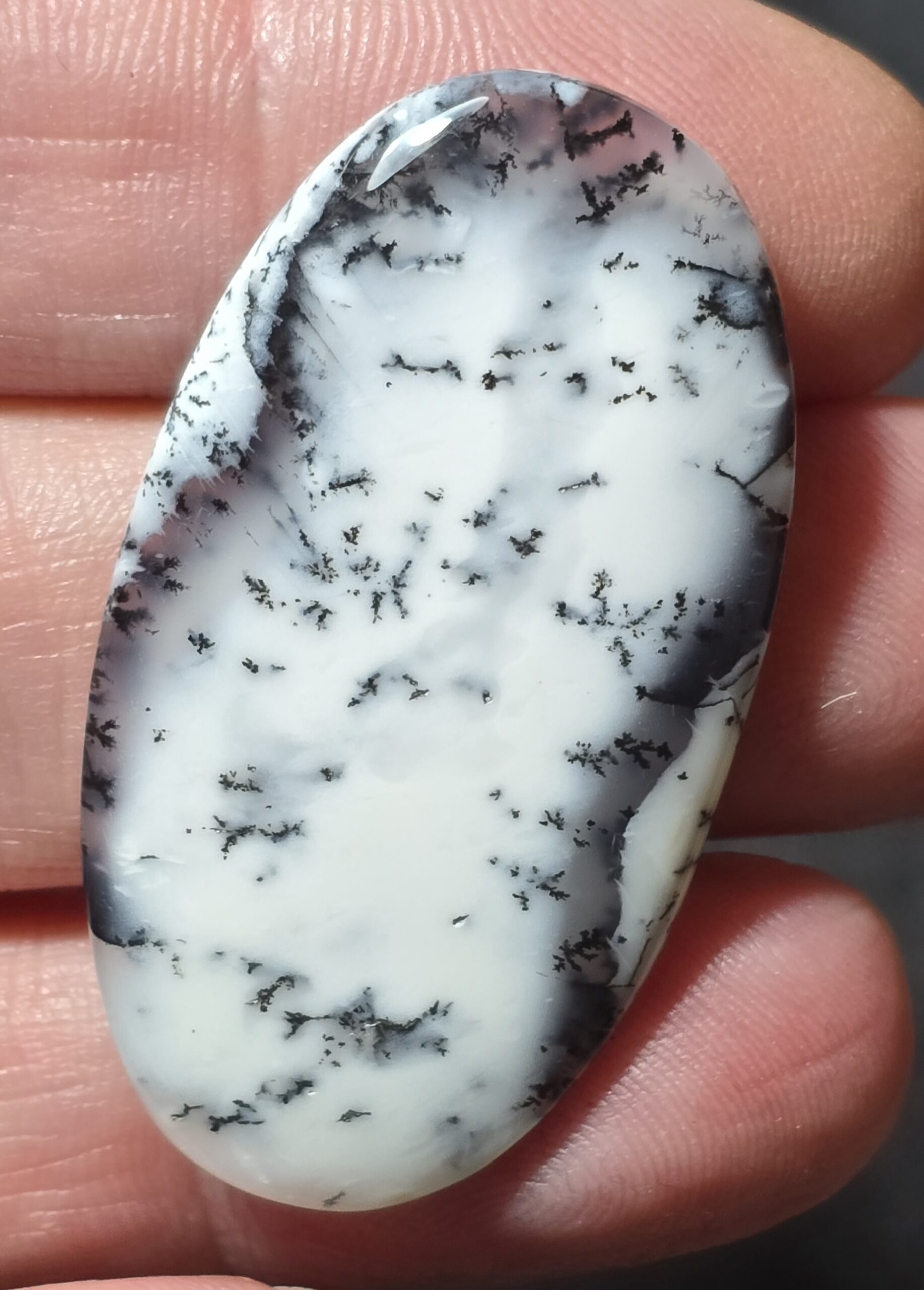 44x24mm Dendritic chalcedony cabochon